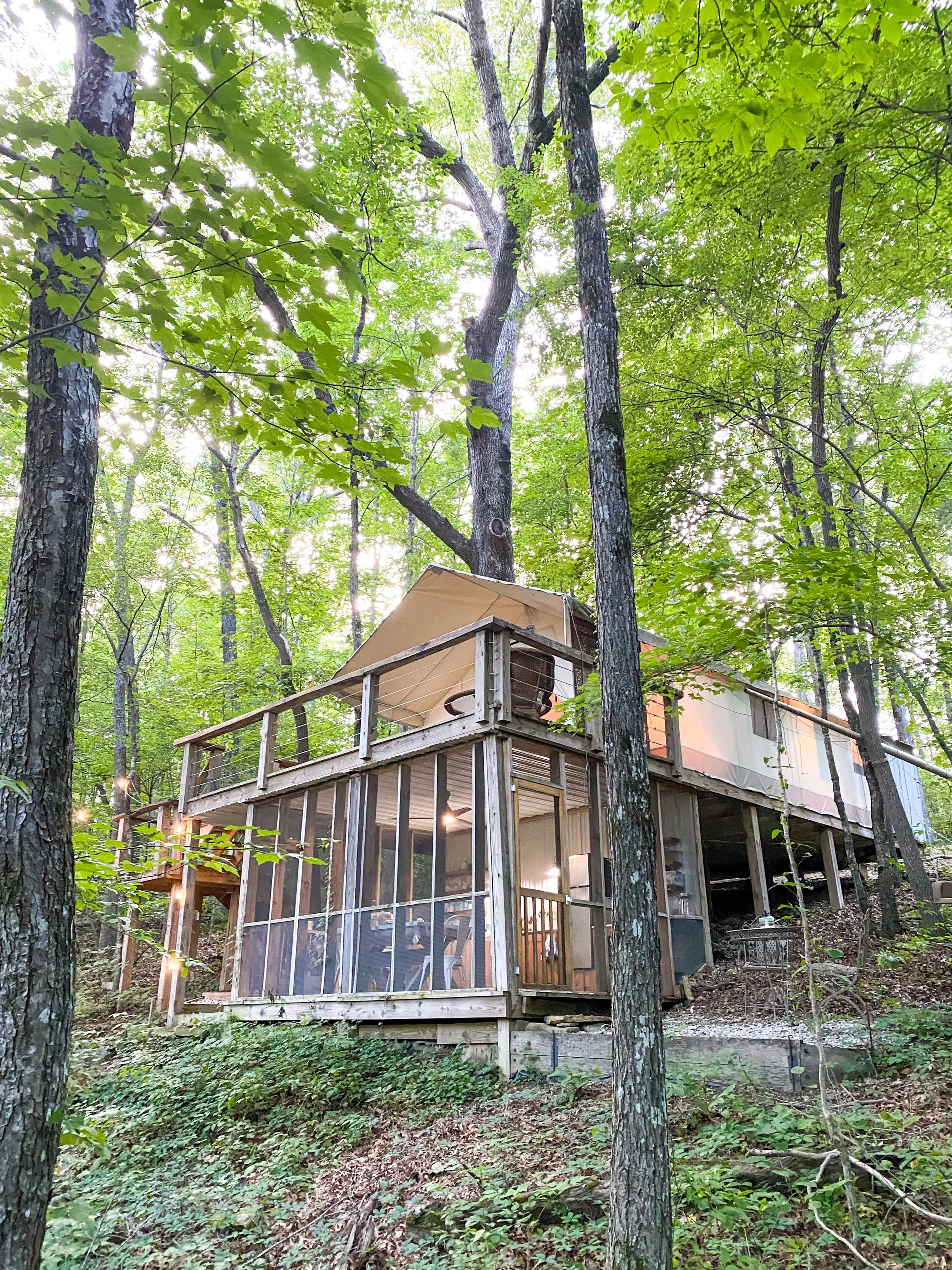 Luxurious Glamping in large tent in woods of our Signal Mountain